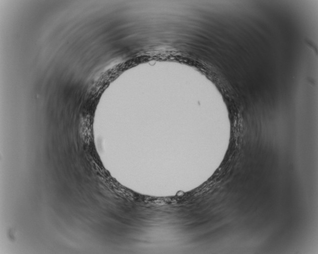 X0000103471063200810241008