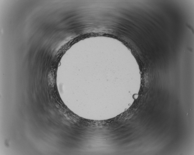 X0000103471064200810241008