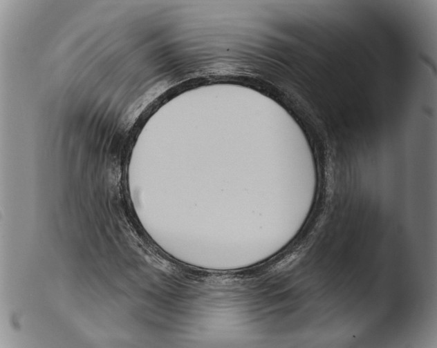 X0000103471065200810241008