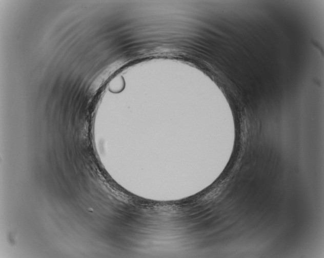 X0000103471066200810241008