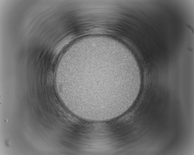 X0000103471067200810241008