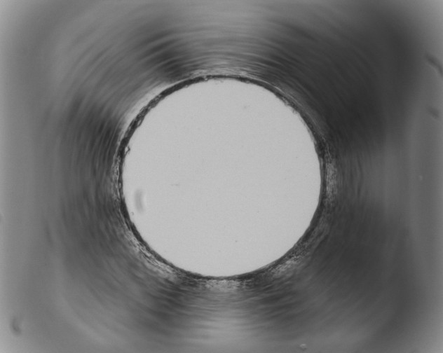 X0000103471068200810241008