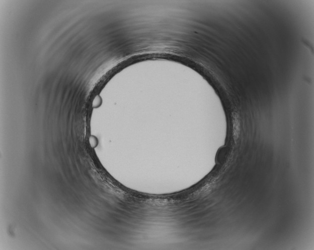 X0000103471069200810241008
