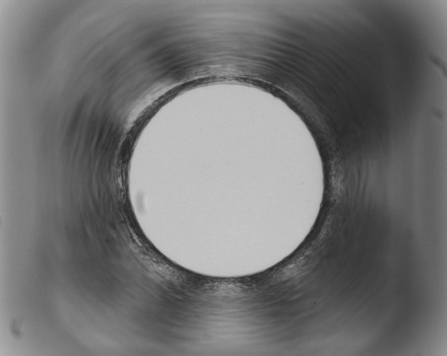 X0000103471070200810241008