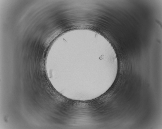 X0000103471071200810241008