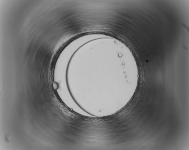 X0000103471072200810241008