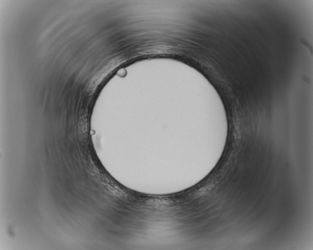 X0000103471073200810241008