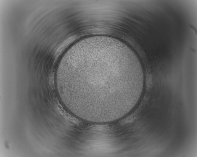 X0000103471074200810241008
