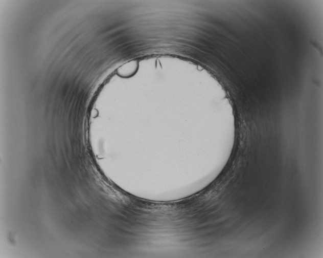 X0000103471076200810241008