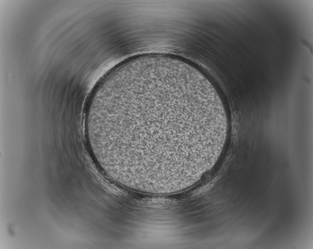 X0000103471077200810241008