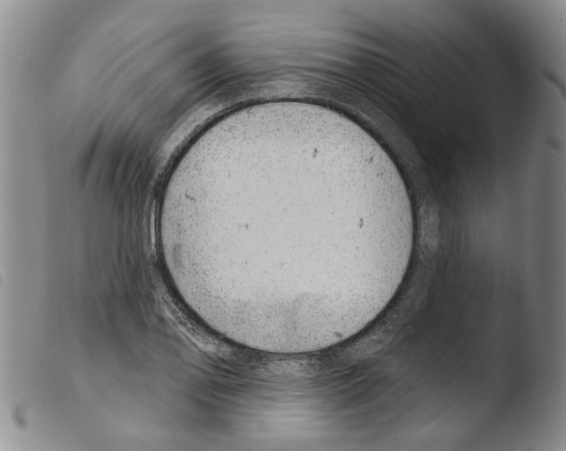 X0000103471078200810241008
