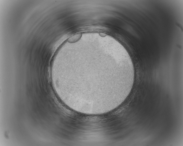 X0000103471079200810241008