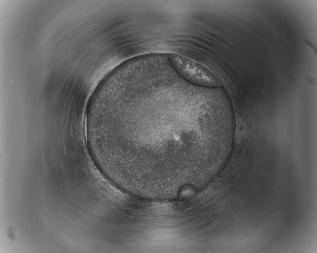 X0000103471080200810241008