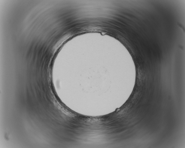 X0000103471082200810241008