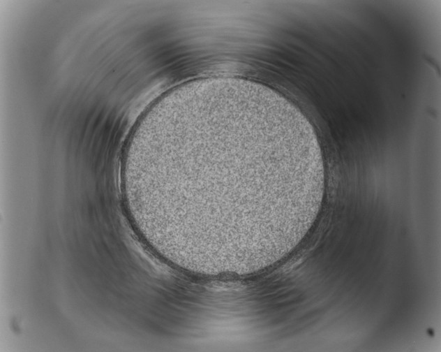X0000103471083200810241008