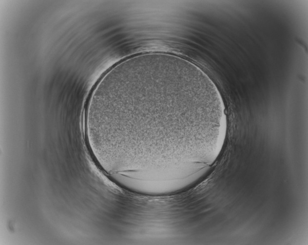 X0000103471084200810241008
