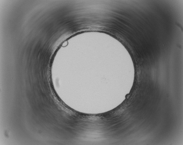 X0000103471085200810241008