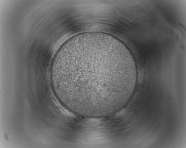 X0000103471086200810241008