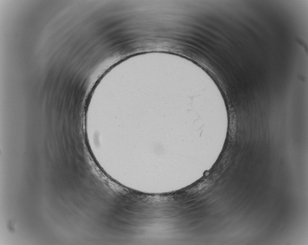 X0000103471088200810241008