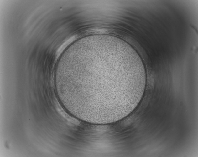 X0000103471090200810241008