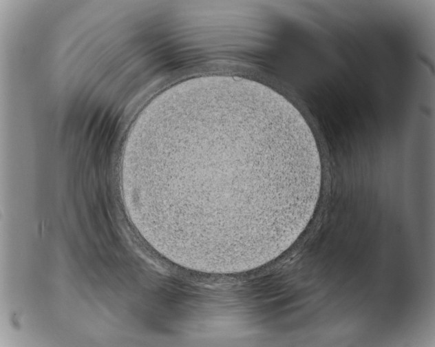 X0000103471091200810241008