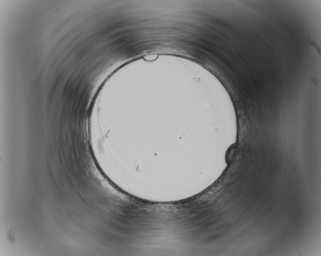 X0000103471092200810241008