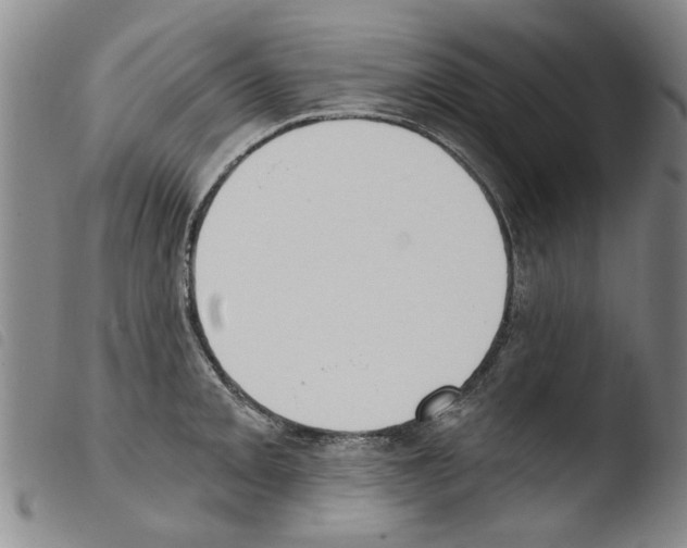 X0000103471093200810241008