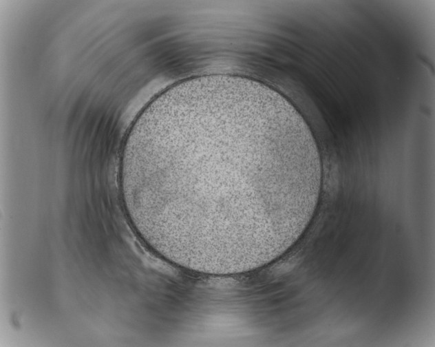 X0000103471094200810241008