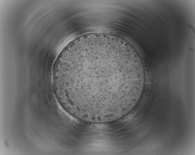 X0000103471095200810241008