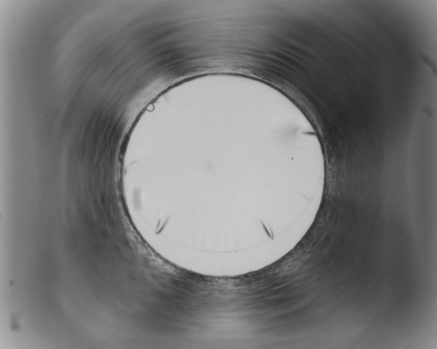 X0000103471096200810241008