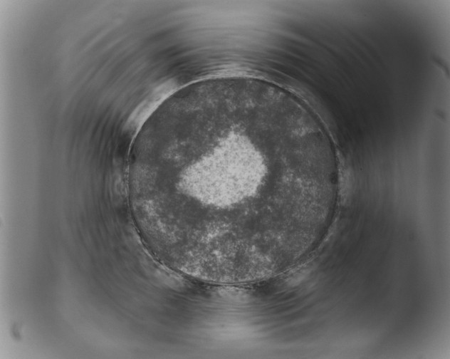 X0000103471097200810241008