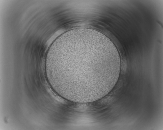 X0000103471098200810241008