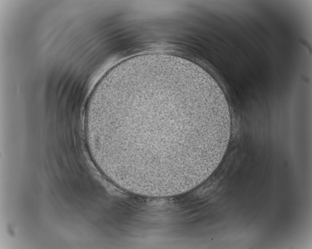 X0000103471099200810241008