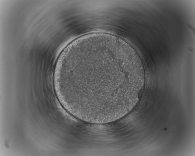X0000103471100200810241008