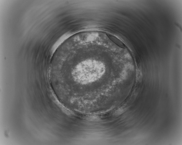 X0000103471101200810241008
