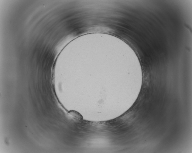 X0000103471103200810241008