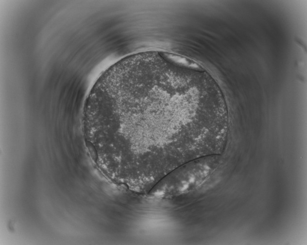 X0000103471104200810241008
