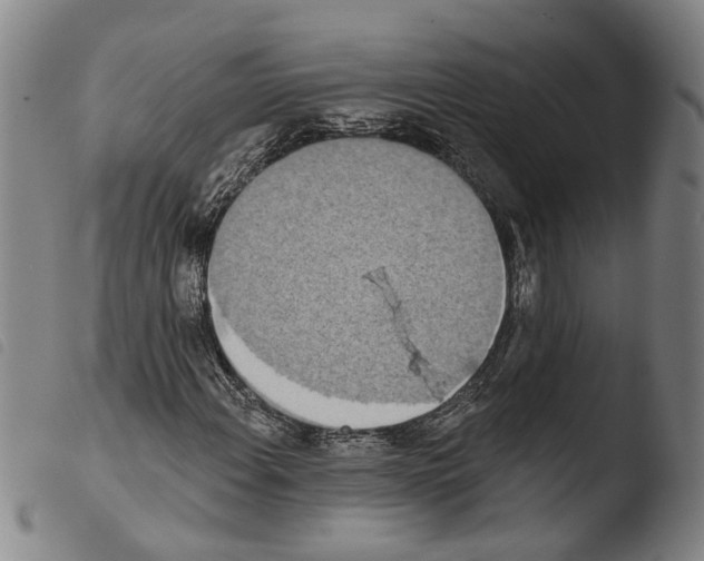 X0000103471108200810241007