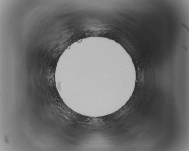 X0000103471109200810241007