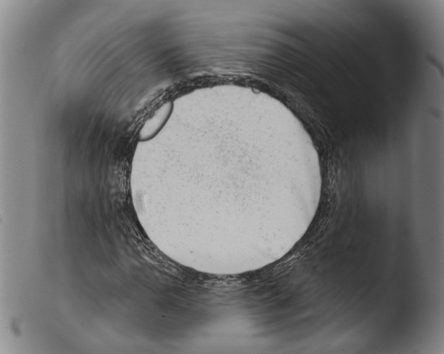 X0000103471110200810241007