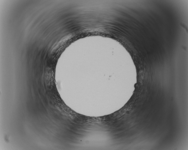 X0000103471111200810241007