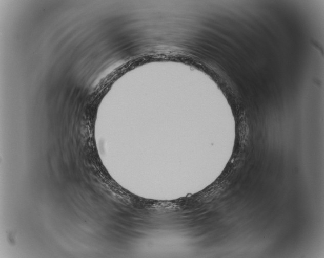 X0000103471112200810241007
