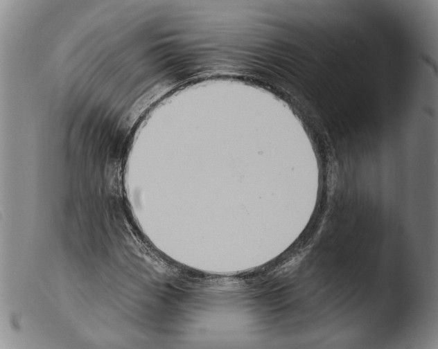 X0000103471113200810241007