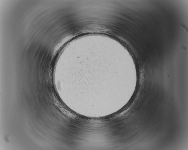 X0000103471114200810241007