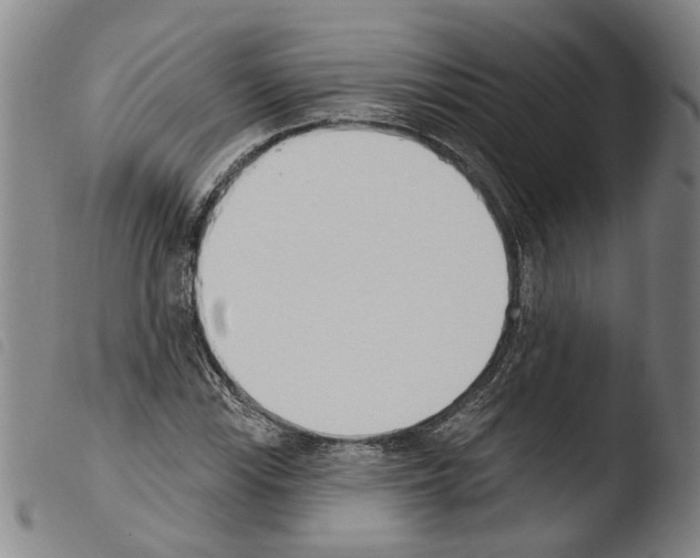 X0000103471115200810241007