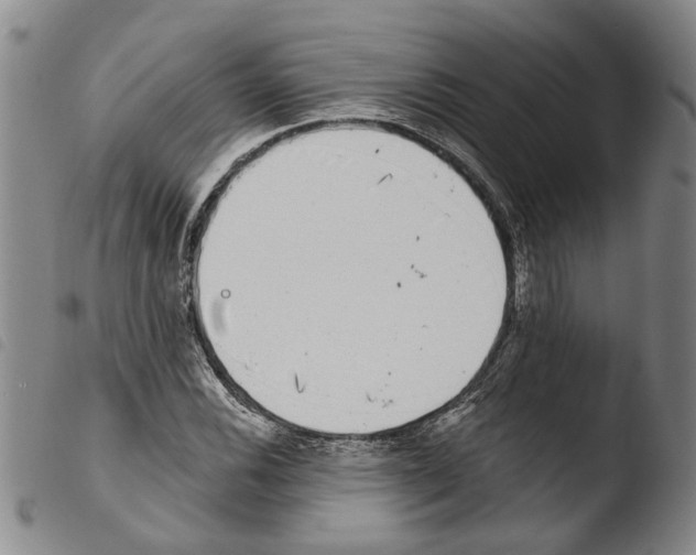 X0000103471116200810241007