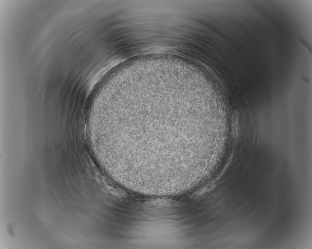 X0000103471117200810241007