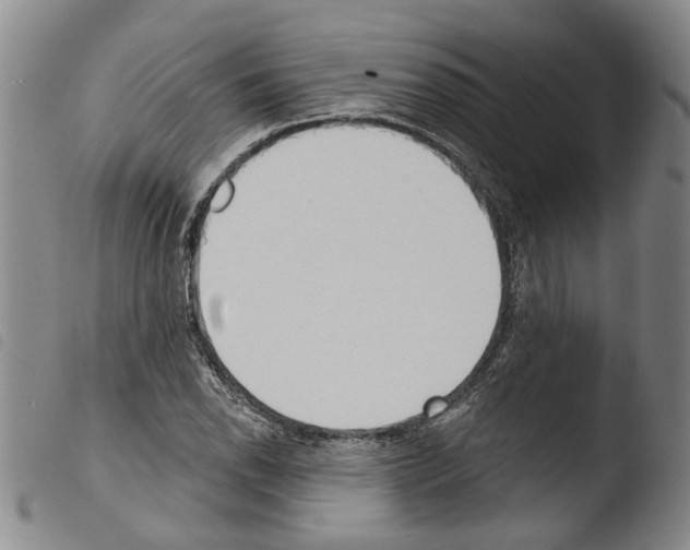 X0000103471118200810241007
