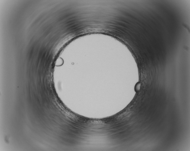 X0000103471119200810241007