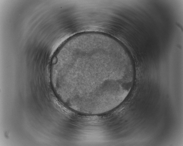 X0000103471120200810241007